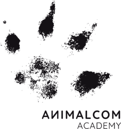 Animalcom Academy